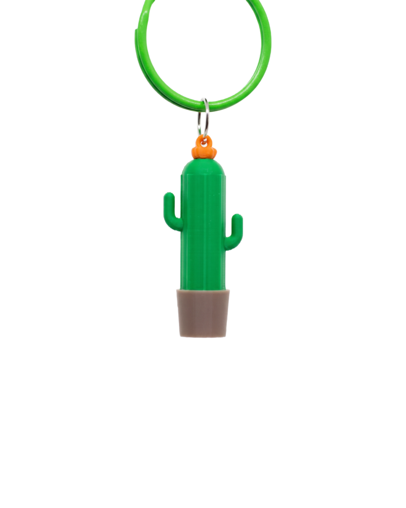 Dije Cactus en la paleta escogida
