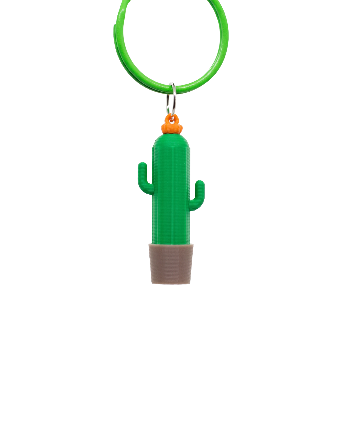 Dije Cactus