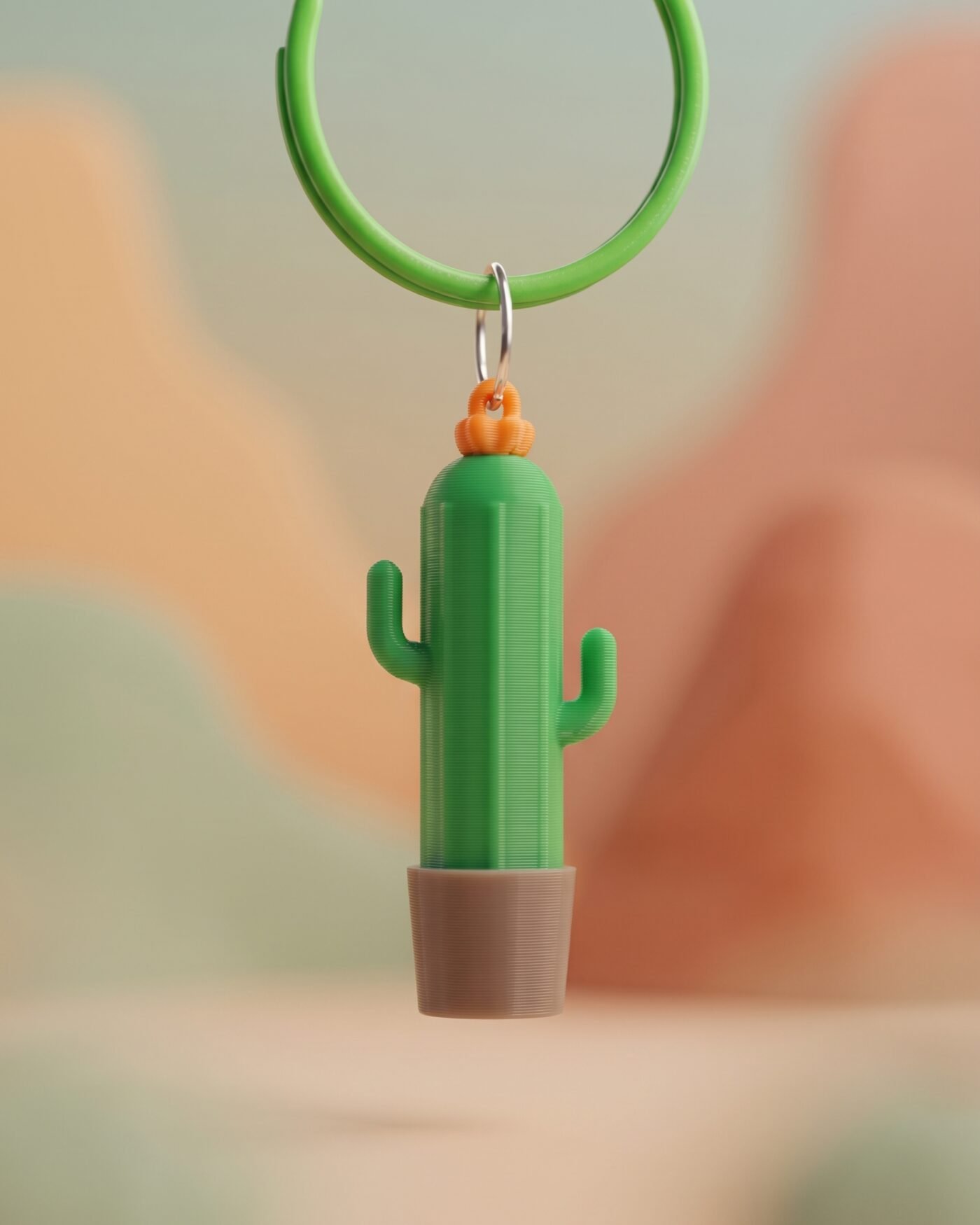 Dije Cactus